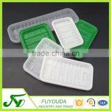 Rectangular Customized PP Plastic 2518 Fresh Fruit Box thumbnail-6