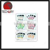 Paint Brush for Best Selling in 2016 thumbnail-4