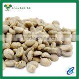Green Coffee Beans Price Green Arabica Coffee Beans for Sale thumbnail-2