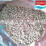 Bulk Peanut Kernels