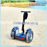 High quality electric chariot 2 wheel stand up electric scooter