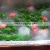 Fruit & Vegetable Processing Machines Industrial Fruit Brush Roller For Potato Washing Machine thumbnail-6