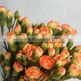 China Promotional Light Short Branch Carnation thumbnail-2