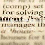 Agent Service / Inspection Agent