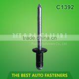 Automobile Plastic Blind Rivet Plastic or Metal Aluminum Rivet thumbnail-2