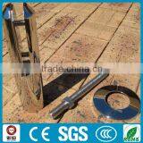 Framelss Glass Pool Fence Stainless Steel Spigot thumbnail-1