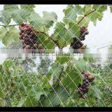 High Tensile Plastic BOP Netting for Anti Bird and Plant Support &deer Fence thumbnail-3