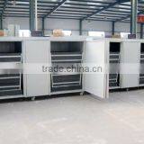 New Brand Bean Sprout Machine