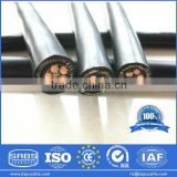 Direct Factory Supply Copper Core PVC Insulated Aerial Service Concentric Cable