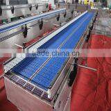 Roller Chain Conveyor System for Accumulation Application thumbnail-2