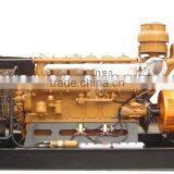 250kw Biogas Generator Set for Made in China