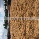 Cheapest Coconut Shell Fiber Bale Opening Machine Price List Coconut Fiber Machine thumbnail-6