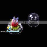 FOUSEN(FLOWER) Nature& Art Preserved Crystal Flower thumbnail-2