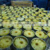 Canned Fruits thumbnail-6