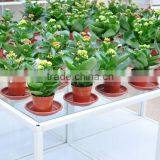 nursery pots wholesale