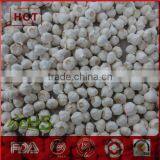 White Fresh Chinese Garlic for Sale thumbnail-2