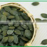 Green Pumpkin Seed Kernel Grown Without Shell thumbnail-3