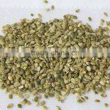 Shelled and Roasted Chinese Green Pumpkin Seed Kernels New Crop thumbnail-1