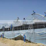 Tunnel Greenhouse thumbnail-5