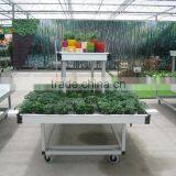 Metal High Quality Flower Display Trolley Rack thumbnail-1