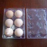 Egg Tray Manufacturer, Supplier & Exporter-Shanghai Yi You thumbnail-1