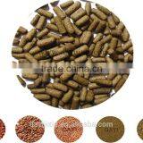 Pet Food/Fish Food Machine From Jinan Dayi Food Machinery thumbnail-2