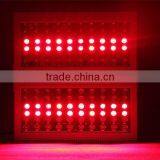 Plant Growing Diasy Chain Led Light High Lumen 300w Led Grow Light thumbnail-4