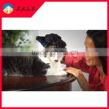 Pet Cat Dogs Hair Grooming Glove Brush thumbnail-1