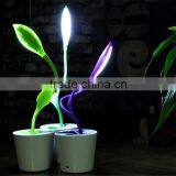 Creative Eye Touch Nightlight Charging Type Adjustable Switch No Radiation Doudou Seedlings of LED Lamp thumbnail-5