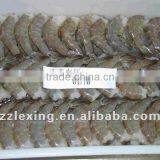 Frozen Vannamei White Shrimp