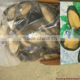 Seafood Frozen Mussel Meat in Half Shell thumbnail-1