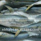 Yellow Tail thumbnail-1