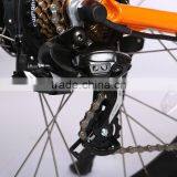 26 Inch Suspension 48V Motor Fat Tire Electric Bike e Bike thumbnail-5