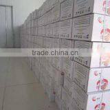 Low Sugar Instant Dry Yeast 90g With BV Certification thumbnail-3