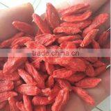 2016 New Natural Goji Berry/ Wolf Berry/gouqi thumbnail-1