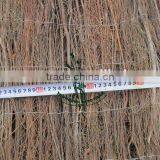 Heather Brushwood Fence thumbnail-3