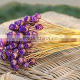 Dried Natural Small Mini Flower Brazilian Art Artificial Dried Flower Home Decoration thumbnail-4