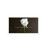 Flower Printer thumbnail-1