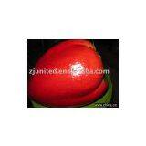 Artificial Fruits .Fake Fruits ,artificial Crafts .artificial Decorations,imitate Fruit thumbnail-1
