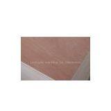 Okume and Bintangor Plywood for Construction