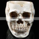 New arrival Polyresin pirate skull funny ashtray