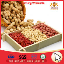 HIGH QUALITY PEANUT KERNELS BY JUNAN KAIBING thumbnail-1