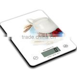 2015 new promotional cheap water transfer printing kitchen scale grams with CE RoHS LFGB 2 years warranty