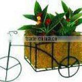 Coconut Fiber Basket thumbnail-1