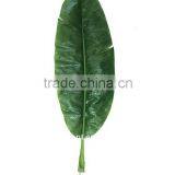 Artificial Banana Leaf