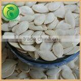 Hot Sale Shine Skin Pumpkin Seeds thumbnail-2