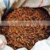 Broken Cassia Best Quality and Price thumbnail-2