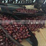 Chinese Adzuki Beans for Europ thumbnail-3