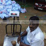 Exporters Of Fresh Cocounts thumbnail-3