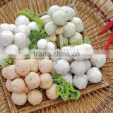 Chopping Type YP901B